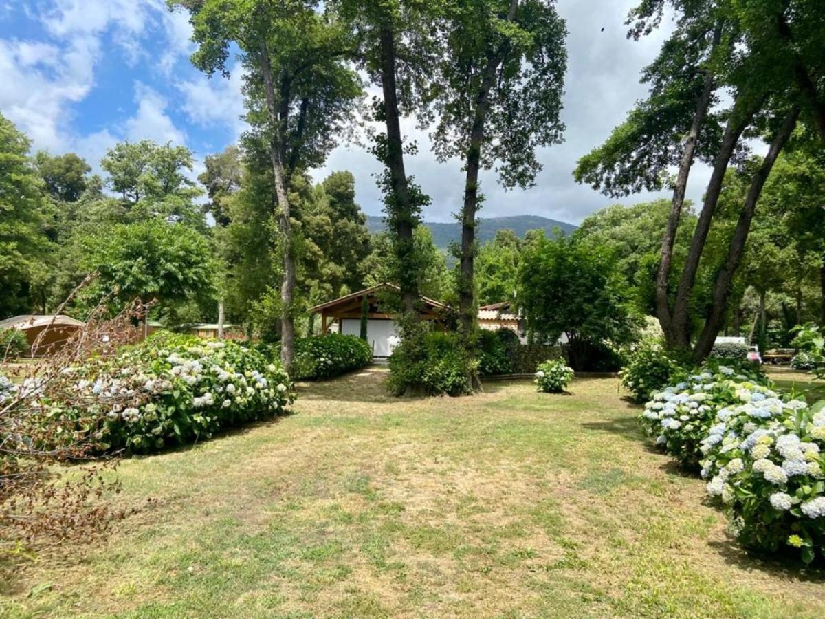 Camping Le Sagone Sagone  Exterior photo